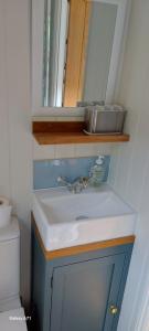 a bathroom with a sink and a mirror and a toilet at The Holcombe Hut, Ridgefield House in Longdown