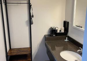 een badkamer met een wastafel en een aanrecht met een spiegel bij Ballparks Inn in Branson