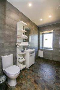 a bathroom with a toilet and a sink at Akmenės svečių apartamentai Šypsena in Akmenė