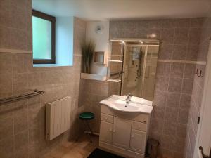 een badkamer met een wastafel en een douche bij Le Moulin de Benneville chambres d'hôtes, petit déjeuner compris in Cahagnes