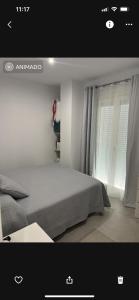 カディスにあるPiso Amaya Cadizのベッドルーム(ベッド1台、窓付)
