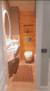małą łazienkę z toaletą i umywalką w obiekcie Molino nuovo w mieście Maslianico