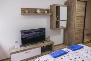 a bedroom with a bed and a television on a cabinet at RIVERVIEW in Niš