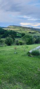 un campo de hierba verde con un camino en él en Le mistral auvergnat, en Montaigut-le-Blanc