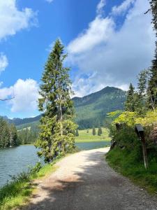 a dirt road next to a lake with a tree at Apartment Bergoase Spitzingsee in Schliersee