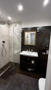 a bathroom with a sink and a shower with a mirror at Apartament Willa Woda in Jurata