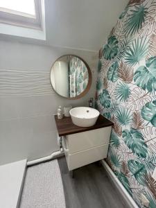 瓦茲河畔歐韋的住宿－Le Dortoir Daubigny，一间带水槽和镜子的浴室