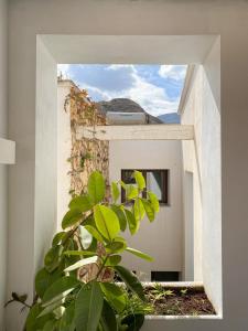 een raam in een wit gebouw met een plant bij Casa de pueblo con encanto para desconectar in Terque