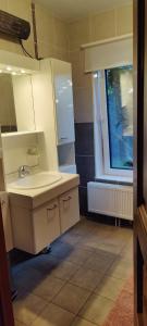 bagno con lavandino e specchio di Chez Nous a Bastogne
