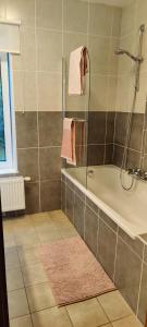 een badkamer met een douche en een bad bij Chez Nous in Bastenaken
