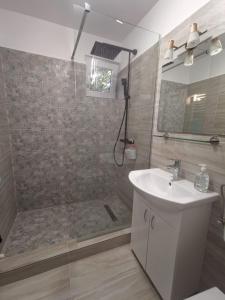 a bathroom with a shower and a sink and a shower at Old Town Apartment 2 bedrooms, 1 living in Baia Mare