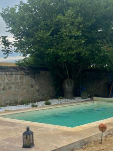 una piscina con una estatua junto a un árbol en Chambre d'hôtes La Chouette, en Saint-Martin-du-Puy