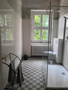 a bathroom with a shower and a tub and a window at Gut Manderow an der Ostsee in Hohenkirchen