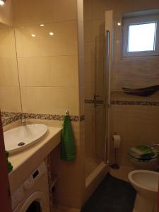 ハイドゥソボスローにあるRiviera Apartmanのバスルーム(シンク、シャワー、トイレ付)