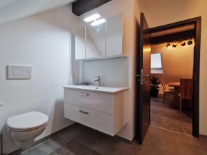 Koupelna v ubytování Skyline klimatisierte Dachgeschoss-Wohnung in Dornbirn mit Blick ins Rheintal