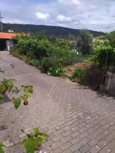 uma passarela de tijolos com flores e plantas num quintal em Cantinho Verde na Sertã