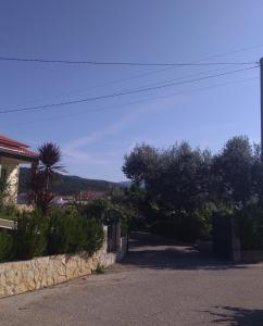 a road with a house and a palm tree at Cantinho Verde in Sertã