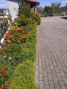 a garden of flowers on a brick road at Cantinho Verde in Sertã