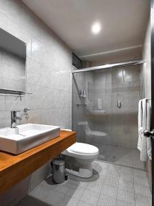 a bathroom with a sink and a toilet and a shower at Hotel Santa María in Taxco de Alarcón