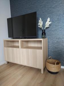 a entertainment center with a television on top of it at Apartament Alicja in Międzywodzie