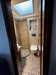 a bathroom with a toilet and a skylight at Apartment GM in Neoi Epivates