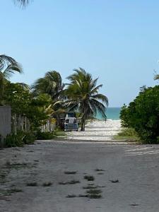 un coche aparcado en una playa con palmeras y el océano en Casa Gajah Hotel Cuyo, en El Cuyo