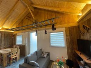 Μια τηλεόραση ή/και κέντρο ψυχαγωγίας στο La cabane de dany