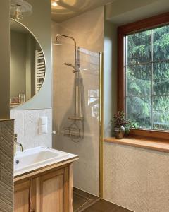W łazience znajduje się prysznic, umywalka i lustro. w obiekcie Willa Staszelówka w Zakopanem