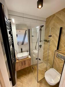 a bathroom with a sink and a shower and a toilet at Sunmare in Sarbinowo +17 photos