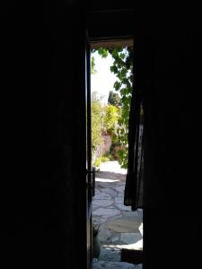 una puerta abierta a un callejón con un gato mirando hacia fuera en CASA Adriana Affascinante casa in pietra, en Buseto Palizzolo