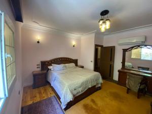 1 dormitorio con 1 cama grande y espejo en Luxurious, fully furnished and well-equipped apartment with modern amenities, stunning views, and convenient location for remote work or studying from home, en El Cairo