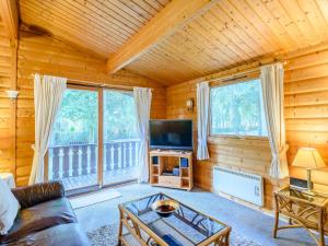 Legbourne的住宿－Scandinavian Lodge - Uk37188，带沙发和电视的客厅