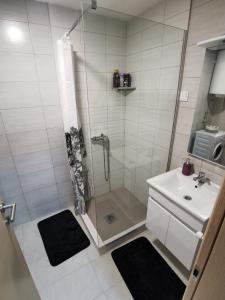 een badkamer met een douche en een wastafel bij Skopje DJS apartment in Skopje