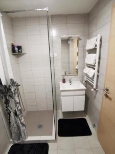 een badkamer met een douche, een wastafel en een spiegel bij Skopje DJS apartment in Skopje