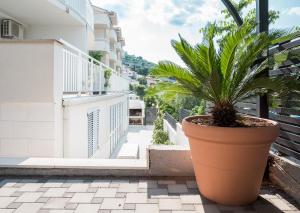 a plant in a large pot sitting on a balcony at VDL Apartments in Trogir