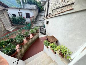 uma vista superior de uma varanda com vasos de plantas e escadas em Appartamento a Valle San Martino di Spoleto em Spoleto