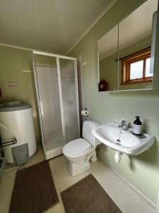 y baño con aseo, lavabo y ducha. en Olenilsøy Cabins, en Reine