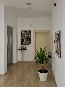 苏托莫雷Hotel Kaligrosh的相册照片