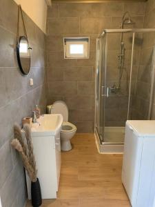 a bathroom with a shower and a toilet and a sink at Chalupa Krásný Buk, České Švýcarsko in Krásná Lípa