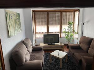 Sala de estar con 2 sofás y TV en Apartamento Gernika, en Guernica y Luno