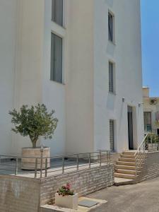 a white building with stairs and a tree in front at Hotel Kaligrosh in Sutomore