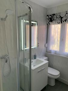 bagno con doccia, lavandino e servizi igienici di Apartamento Temático Cantabria a Camargo