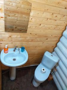 a bathroom with a blue toilet and a sink at Altyn Arashan guesthouse in Mineralʼnyy Istochnik Altyn-Arasan