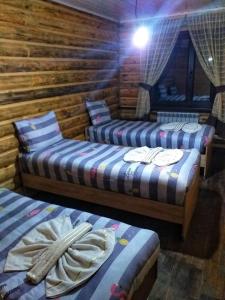 a group of three beds in a room at Altyn Arashan guesthouse in Mineralʼnyy Istochnik Altyn-Arasan