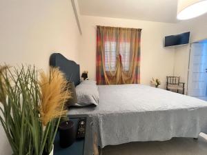 TV a/nebo společenská místnost v ubytování B&B Giulianova
