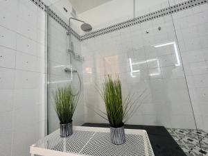 Koupelna v ubytování B&B Giulianova