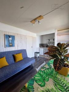 Single Fin Conil في كونيل دي لا فرونتيرا: غرفة معيشة بها أريكة زرقاء ومصنع