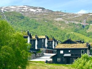 a group of houses in front of a mountain at Lovise Mountain Apartment in Stranda