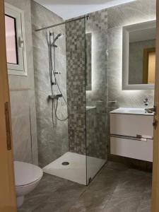 a bathroom with a shower and a toilet and a sink at Duplex à Hammamet centre in Hammamet Sud