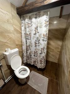 a bathroom with a toilet with a shower curtain at Fruskogorski mir in Besenovacki Prnjavor
